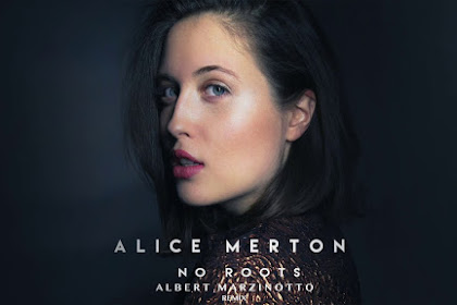 Lirik Lagu No roots Alice Merton