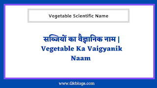 सब्जियों का वैज्ञानिक नाम, Vegetable Ka Vaigyanik Naam, Vegetable Scientific Name In Hindi