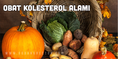 Obat Kolesterol Alami