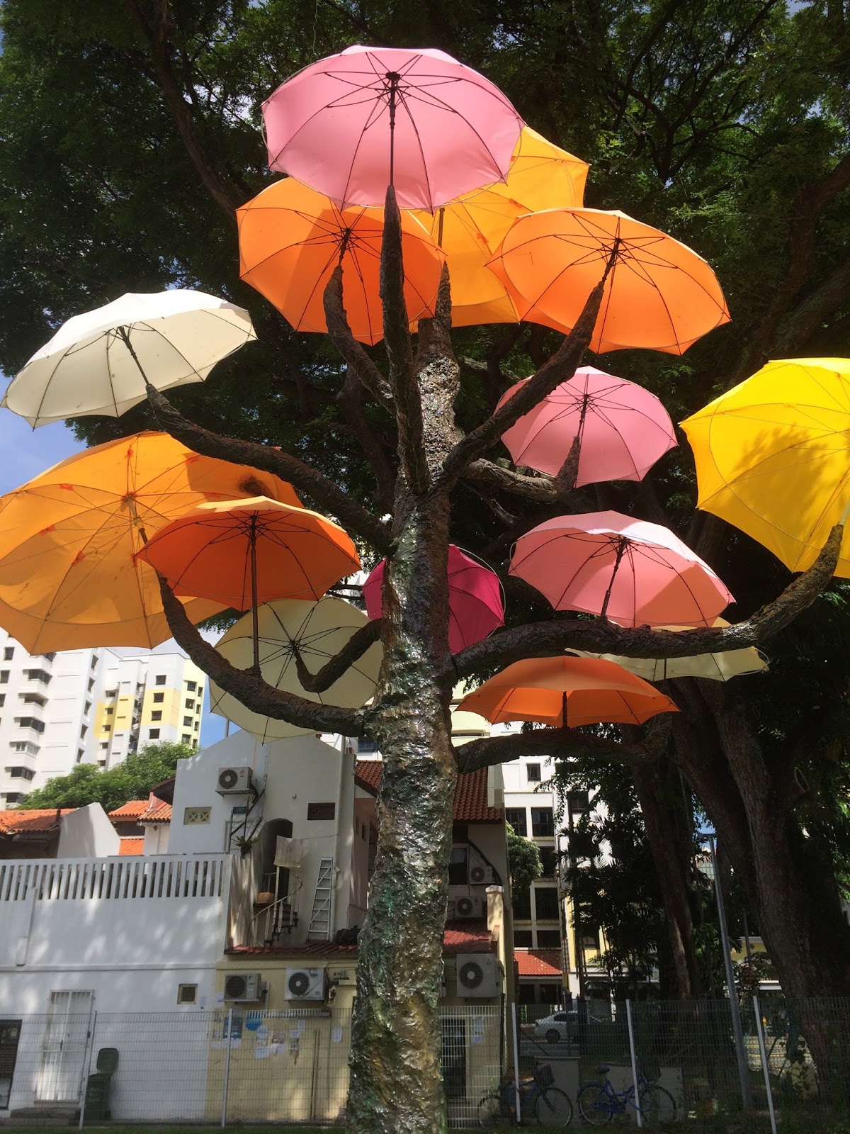 Umbrella Trees Hindoo Road Little India; Singapore Moonlit