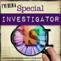 Special investigator Juni