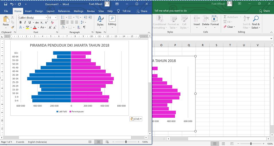 Fcs Fuat Cepat Selamat Cara Membuat Piramida Penduduk Menggunakan Excel