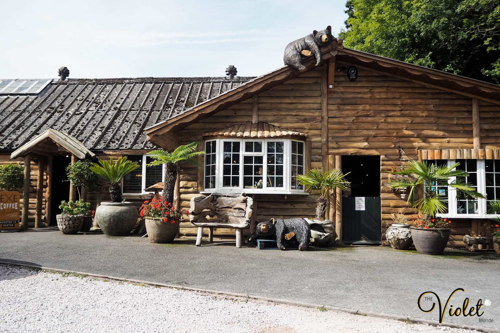 Scones And Tea At The Oak Barn Coffee Lounge Budleigh Salterton