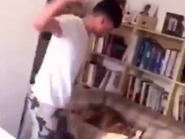 Chicos es grabado golpeando a su perro 