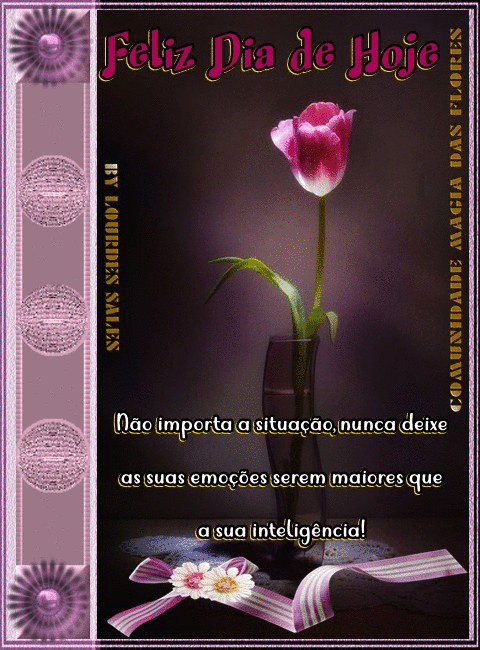 AsamQr54Z6bA.gif