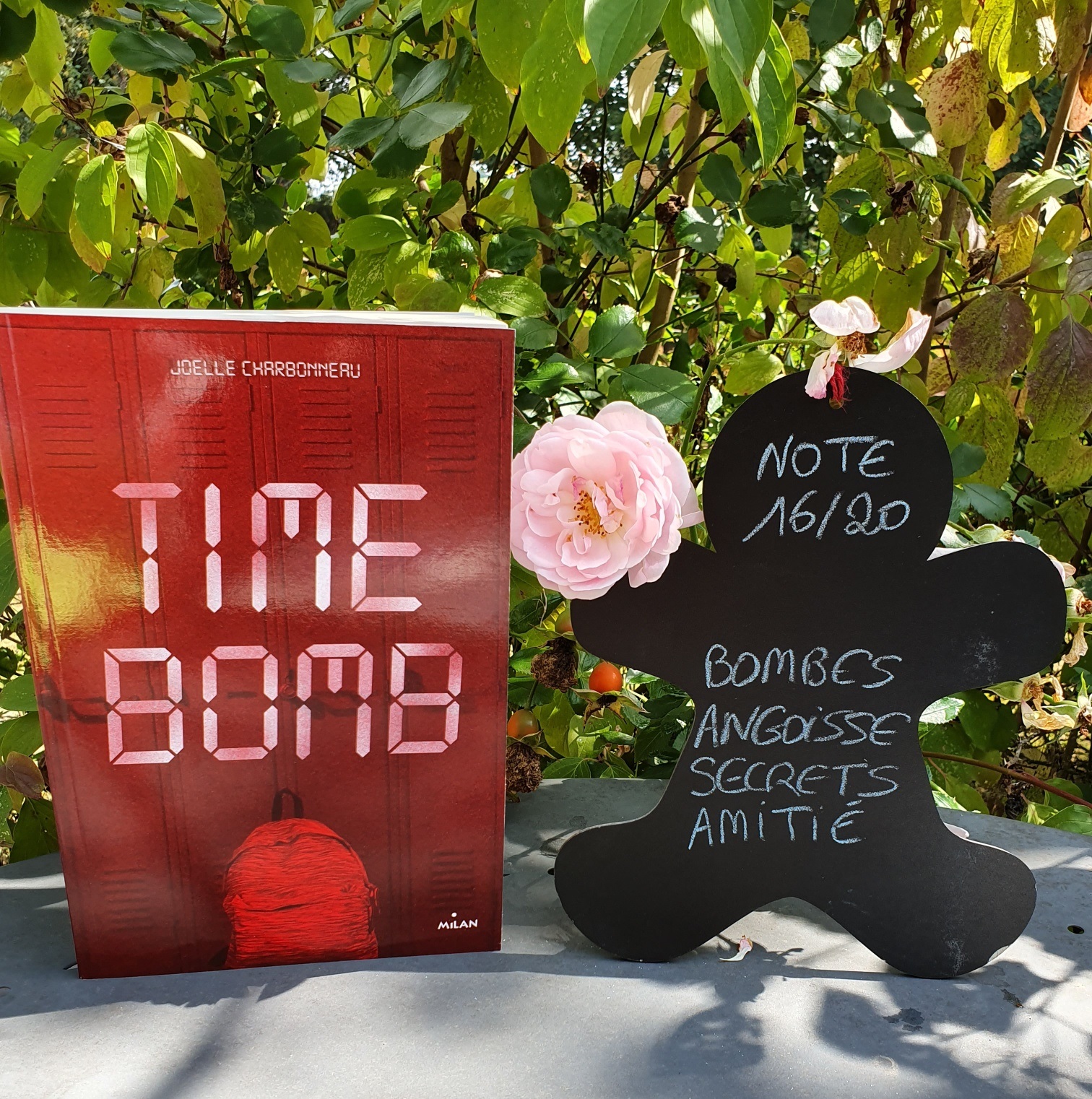 time bomb by joelle charbonneau time bomb by joelle charbonneau