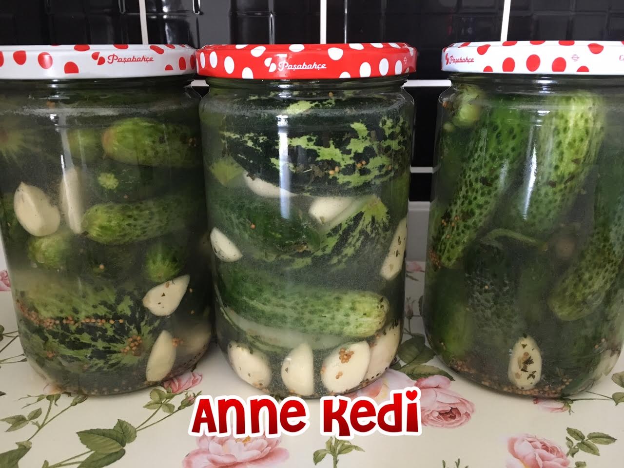 ANNE KEDİ Probiyotik Turşu