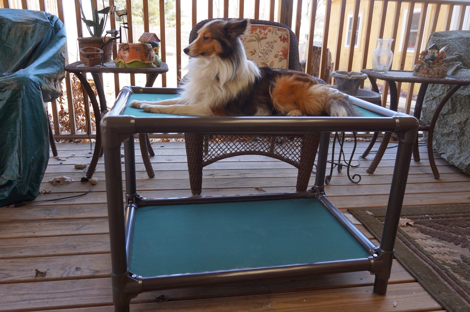 Kuranda Dog Beds Canada at Fred Dean blog