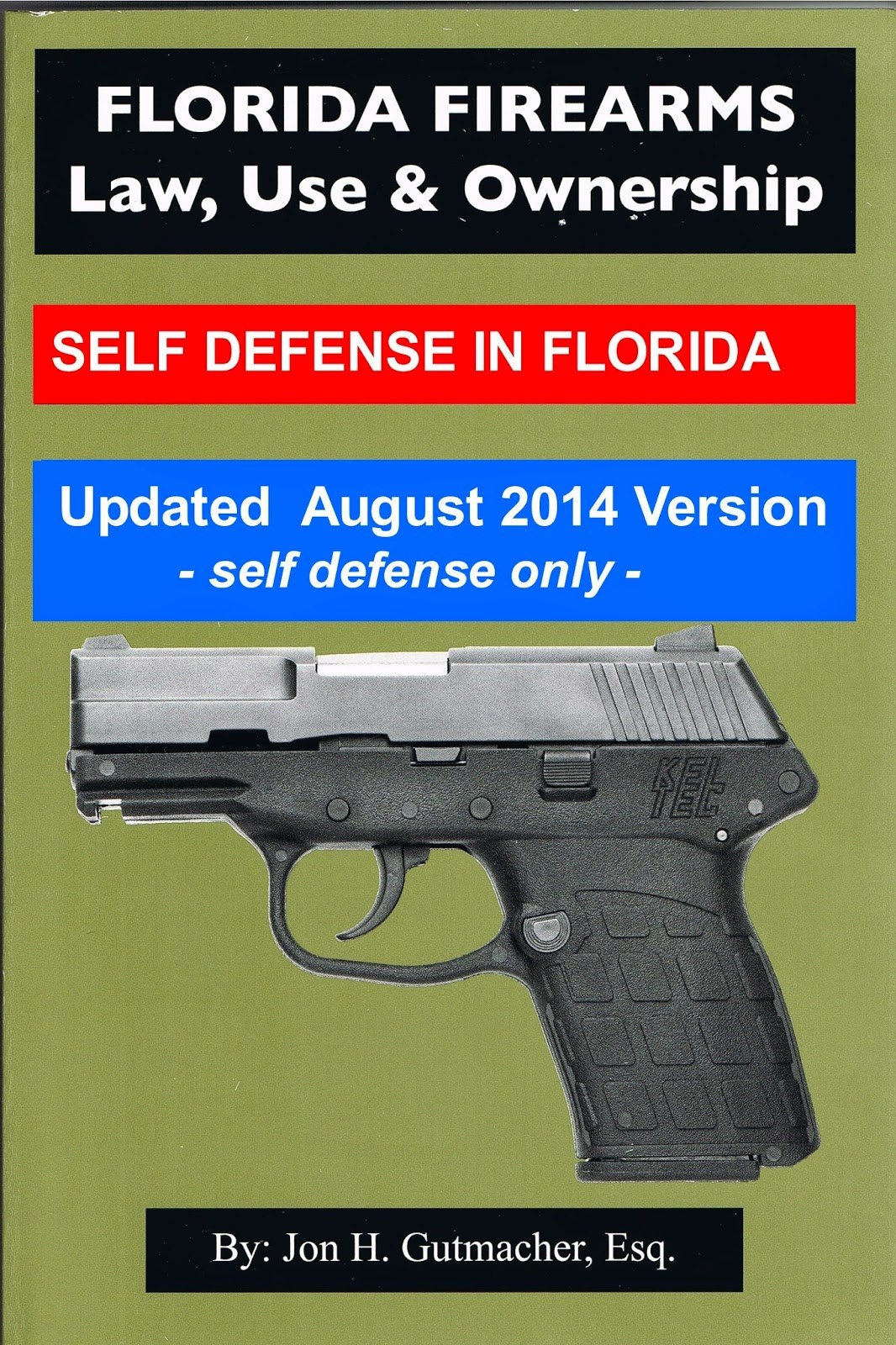 Gun Laws In Florida Buy A Gun In Florida