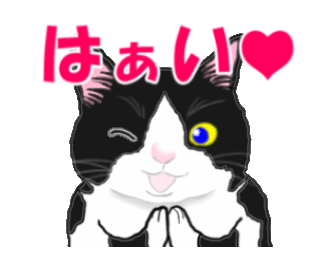 Line クリエイターズスタンプ 動く ハチワレねこのシュー２ Example With Gif Animation