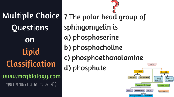 Multiple Choice Questions on Classification of Lipids