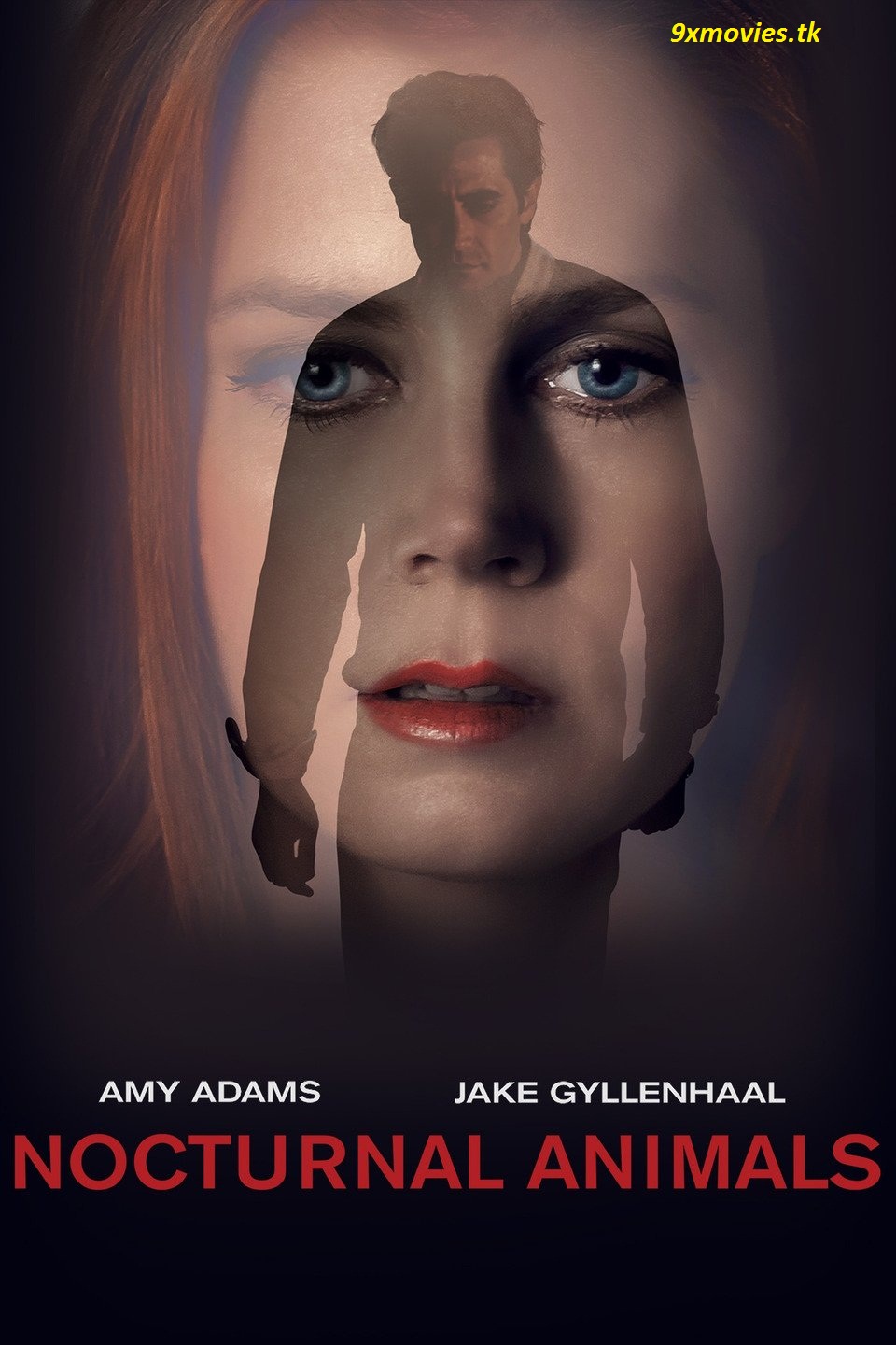 Nocturnal Animals (2016) Bluray [Hindi DD 5.1 + English