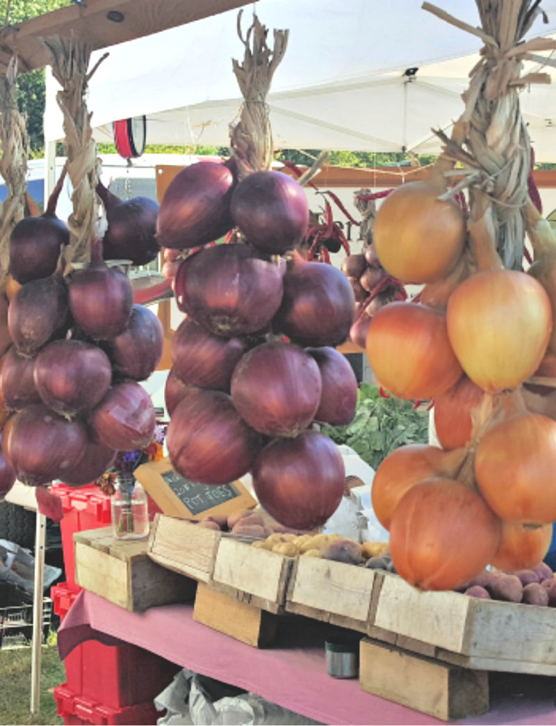 Can Chickens and Ducks Eat Root Vegetables? Fresh Eggs Daily® with