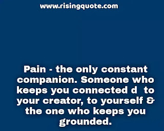24 Thought Muniba Mazari Quotes | Rising Quote (2021) 24 Thought Muniba Mazari Quotes | Rising Quote (2021)