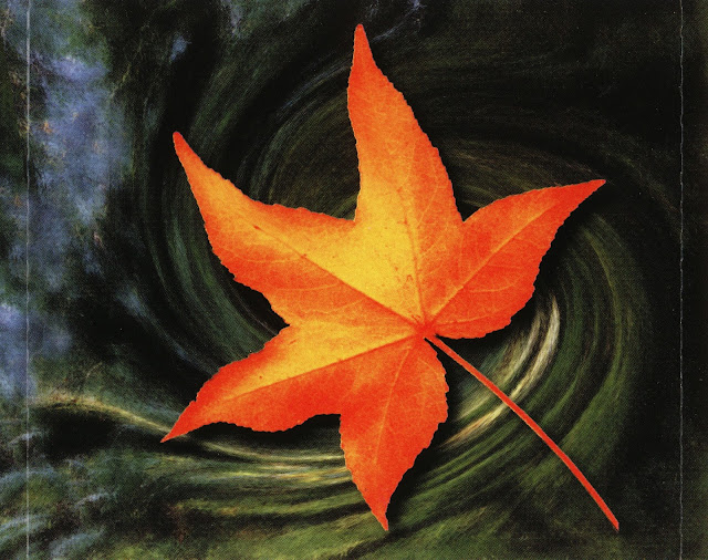 Nightmare be thy Name Evil Wings Brightleaf (1996)