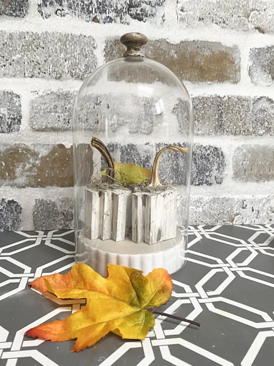 DIY pumpkin and cloche with fall leaf