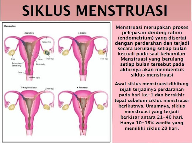 Ciri2 Orang Hamil Muda Memang Tidak Terlihat, Tapi Bisa Diketahui dari Hal-hal ini Ciri2 Orang Hamil Muda Memang Tidak Terlihat, Tapi Bisa Diketahui dari Hal-hal ini