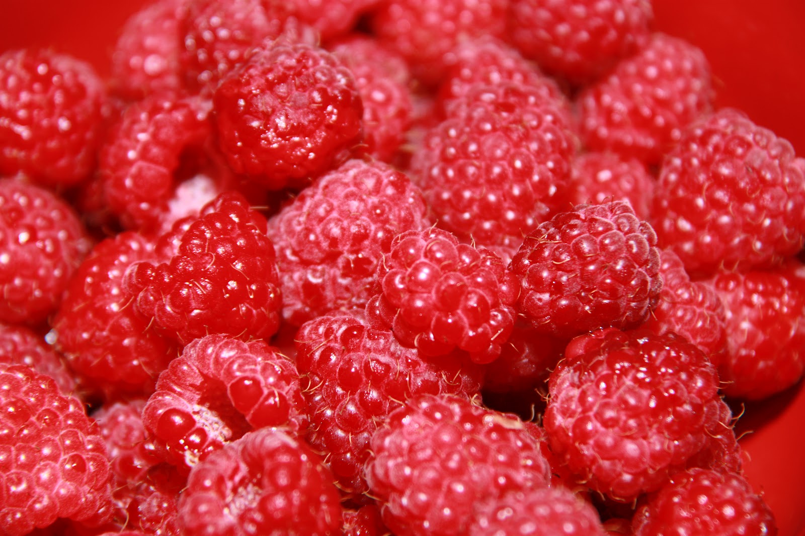 Hilmas Hus Hallon!!!