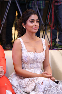 Shriya Sharan in Gorgeous Sleeveless Glittering short dress at Paisa Vasool audio success meet ~  Exclusive Celebrities Galleries 005