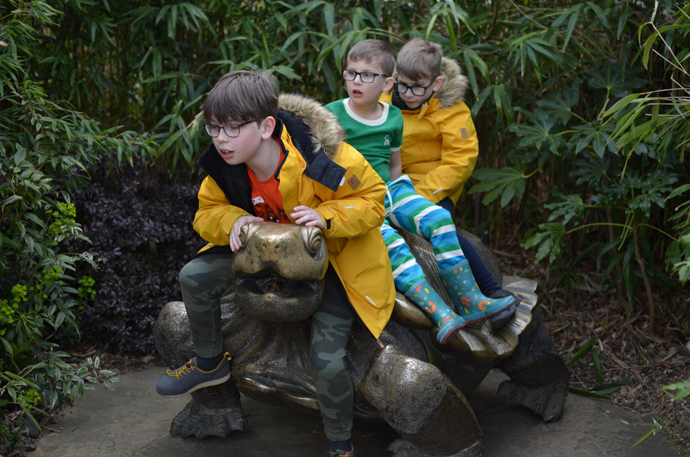 Colchester zoo, visit Essex, Colchester with children