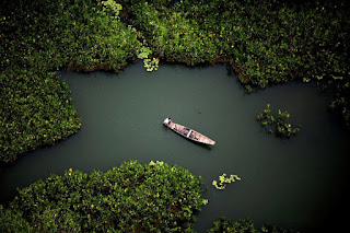 Amazon rainforest (Brazil)