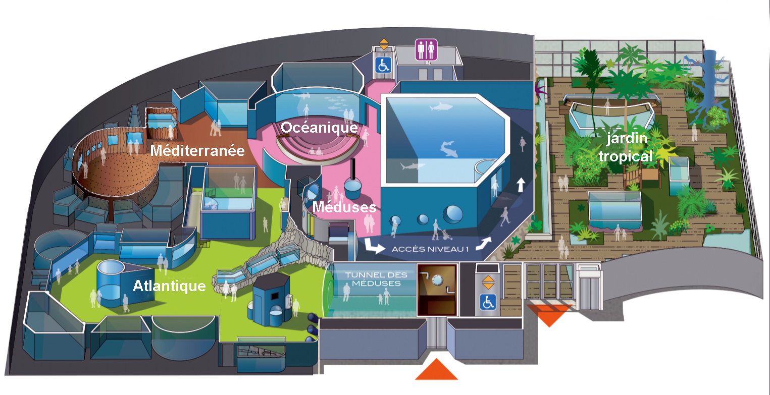 quelques voyages Aquarium de La Rochelle