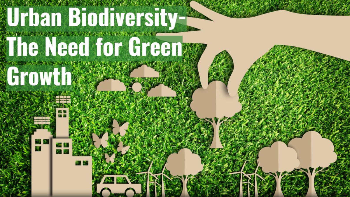 WorldEnvironmentDay Urban Biodiversity The Need for Green Growth