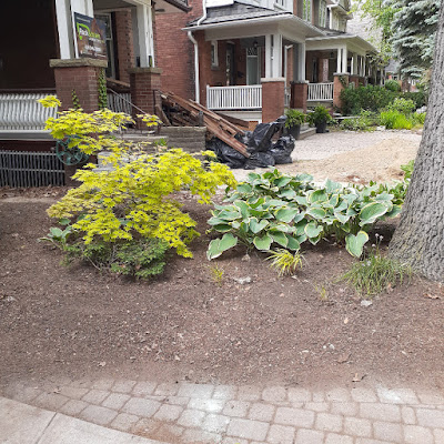 Toronto High Park Summer Garden Cleanup After by Paul Jung Gardening Services--a Toronto Organic Gardening Company