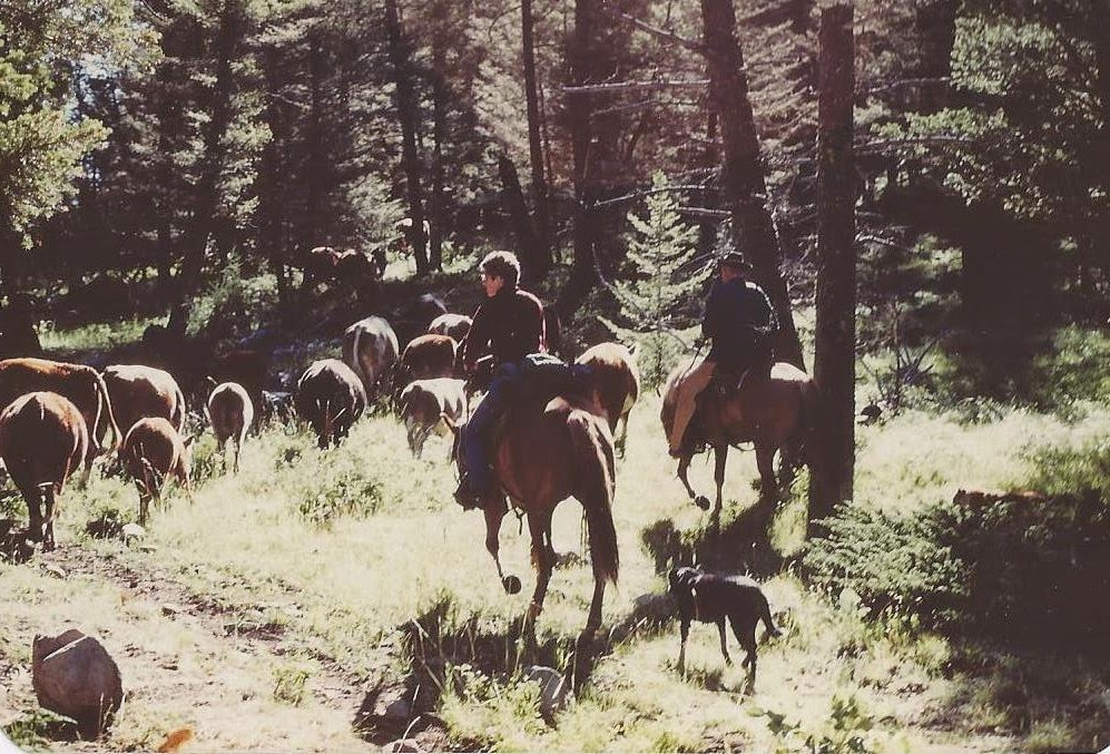 Montana Bunkhouses Working Ranch Vacations