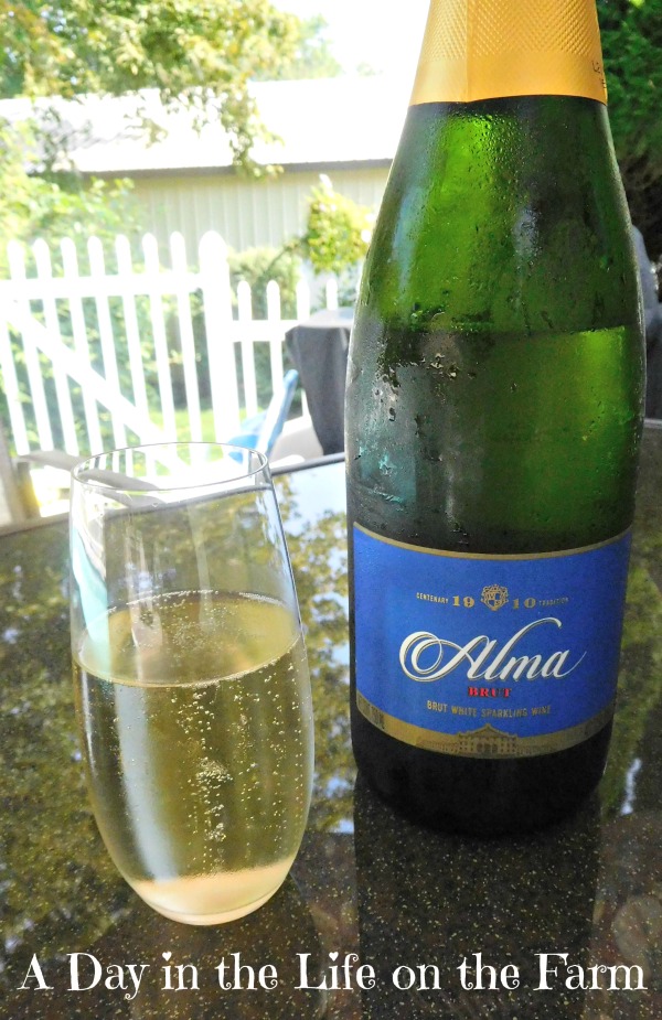 A Day in the Life on the Farm Enjoying Indian Summer with Alma