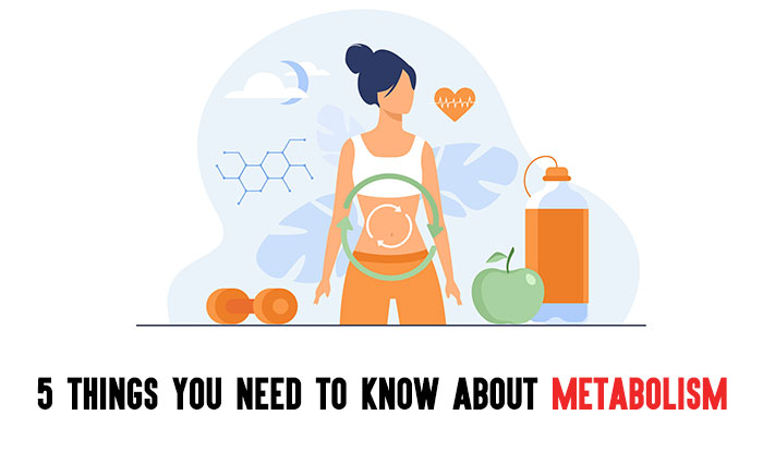 5 Things You Need to Know About Your Metabolism