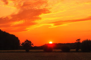 Naturfotografie Hamm Sonnenuntergang