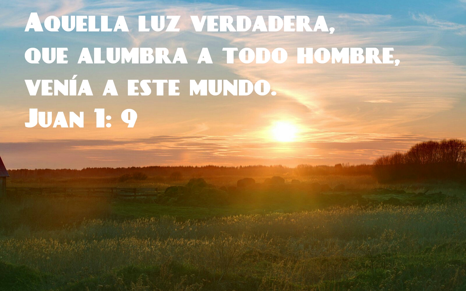 Textos y Sermones Biblicos Jesús es La Luz que necesita el mundo