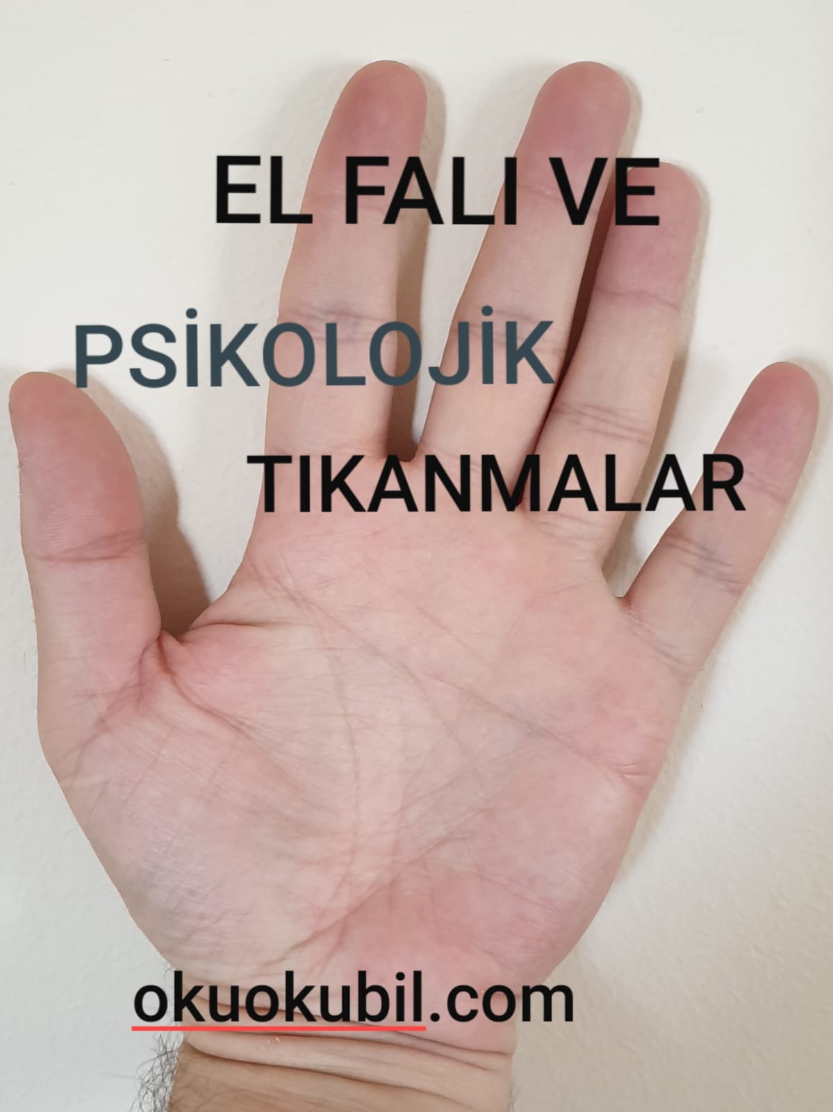 El Fali Nasil Bakilir Avuc Ici El Cizgilerinin Anlami Ni Merak Ediyorsan Izle Ask Evlilik Para 2020 Youtube