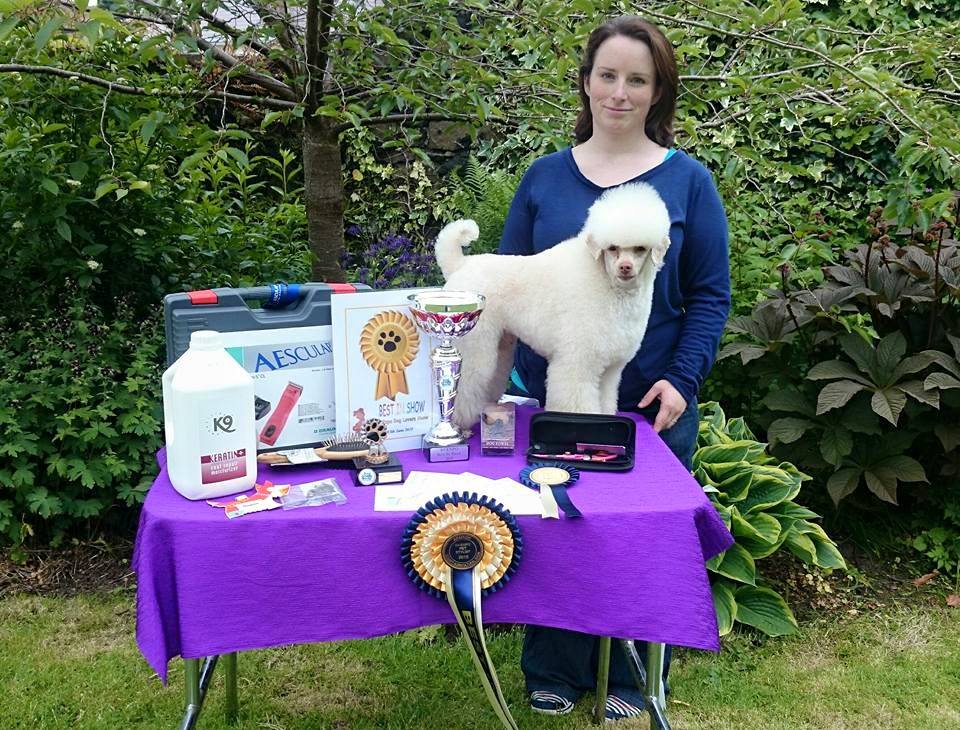 Kilcullen Diary Sabrina wins Best in Show dog grooming