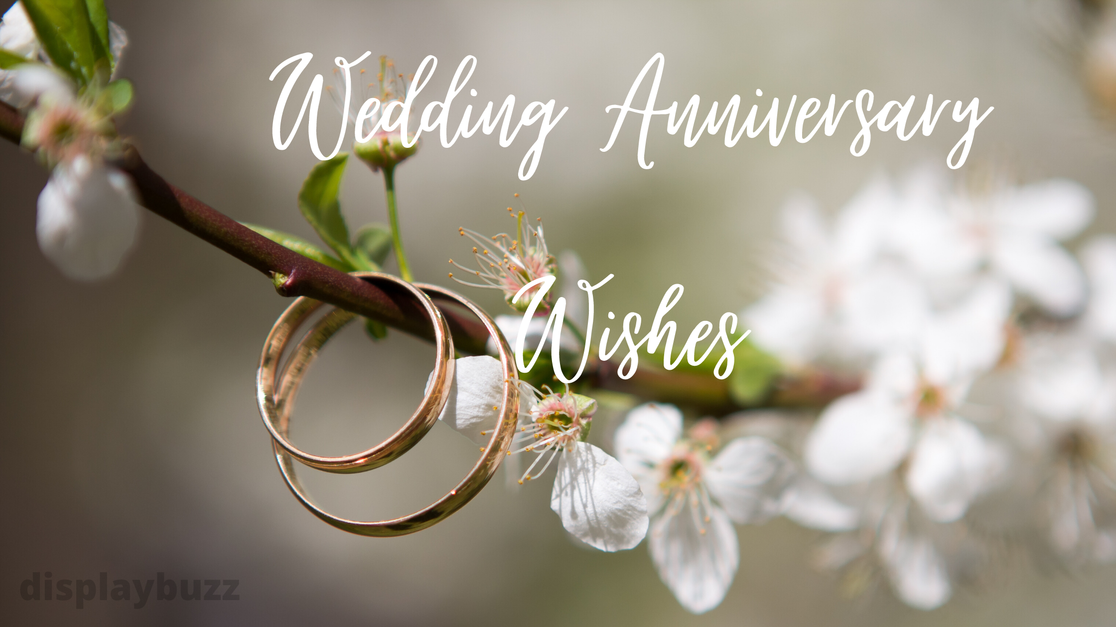 100+ Wedding Anniversary Wishes, Wedding Anniversary Massages