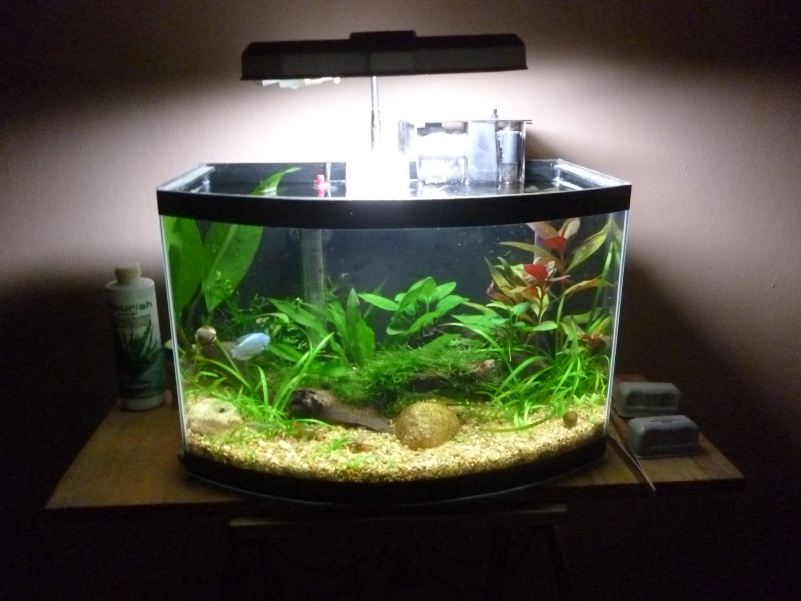 Aquario vortex 4 7ss