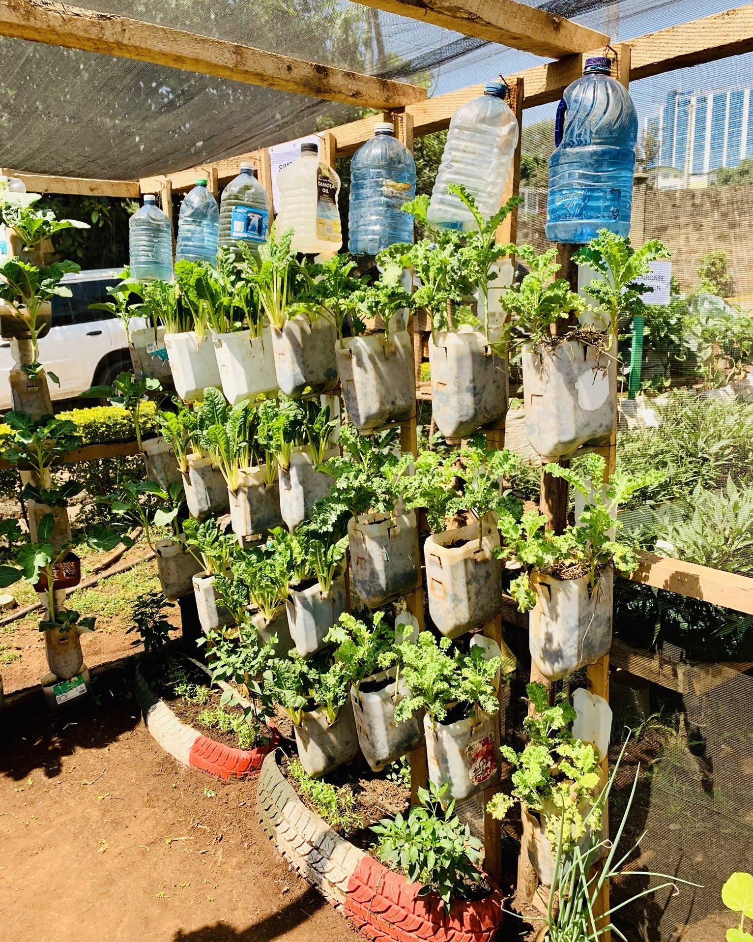 How to make a simple drip irrigation kitchen garden