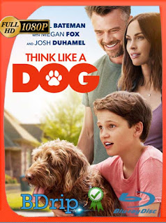Think Like a Dog (2020) BDRip [1080p] Latino [GoogleDrive] SXGO