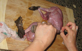 Preparar un conejo para alimento