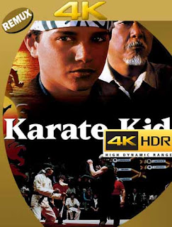 Karate Kid (1984) 4K REMUX 2160p UHD [HDR] Latino [GoogleDrive] 