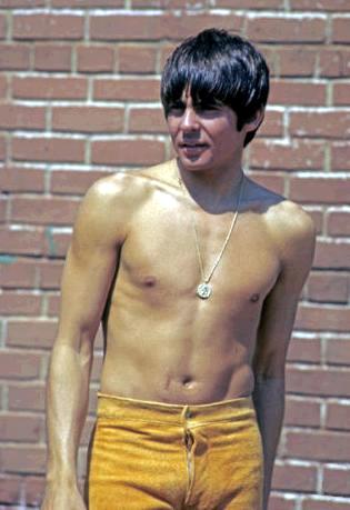 NYSocBoy's Beefcake and Bonding: Davy Jones and the Monkees
