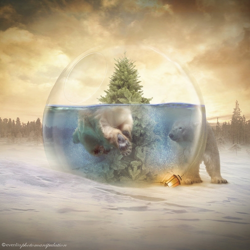 21-The-Pool-Even-Liu-Surreal-Photo-Manipulations-and-the-Lantern-www-designstack-co