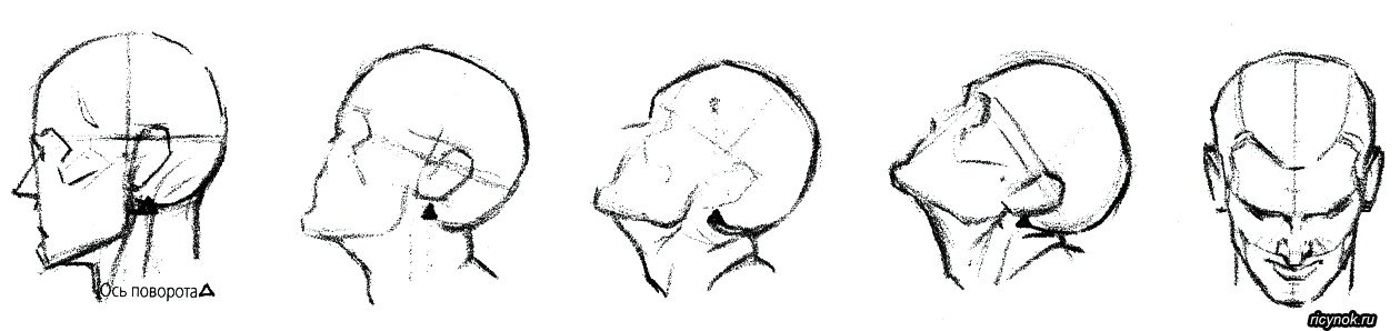 Поворот головы. Задранная голова. Человек с заданной головой. Рисование приподнятой головы.