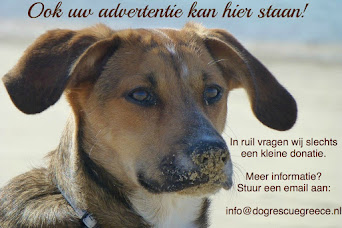 Adverteren op deze site?