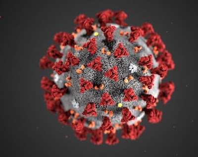 Code-19: Why is the corona virus so deadly?