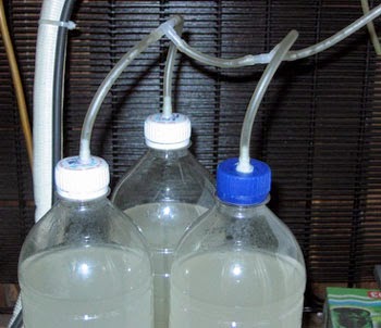 Cara Membuat Co2 Aquascape Sederhana