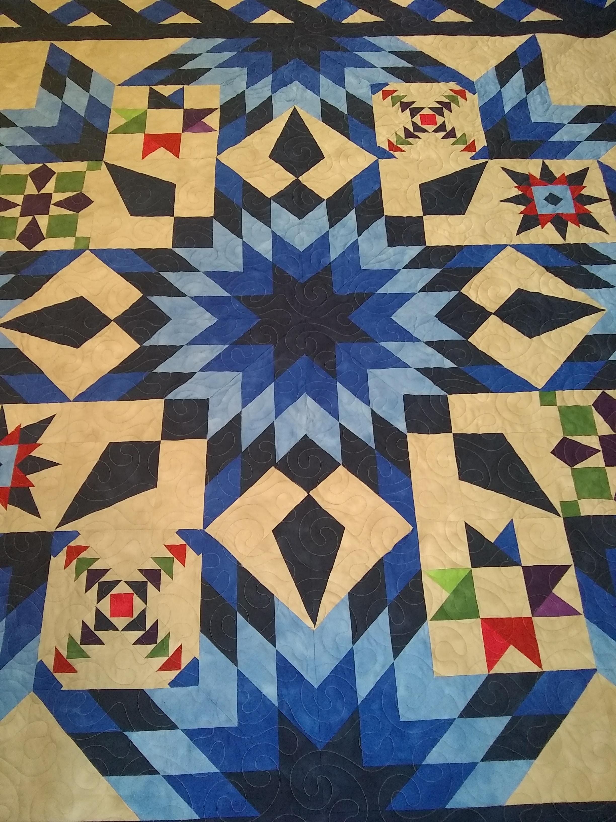 myquilter Lone star sampler quilt