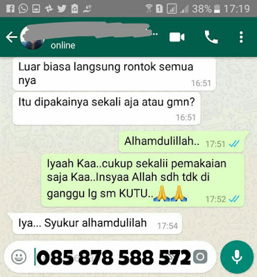 obat kutu rambut anak tradisional