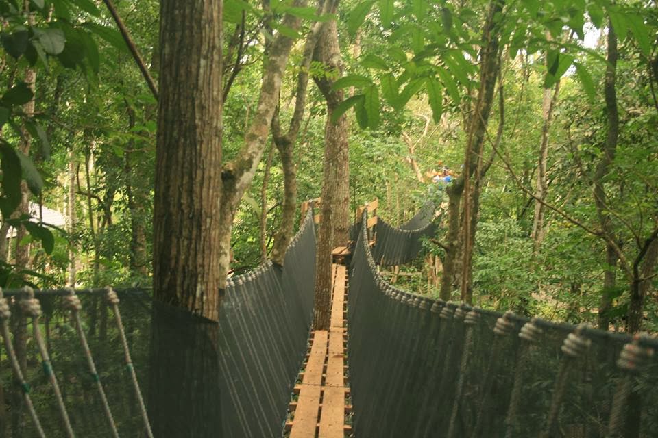 Chocolate Hills Adventure Park (CHAP) Newest Outdoor Attractions